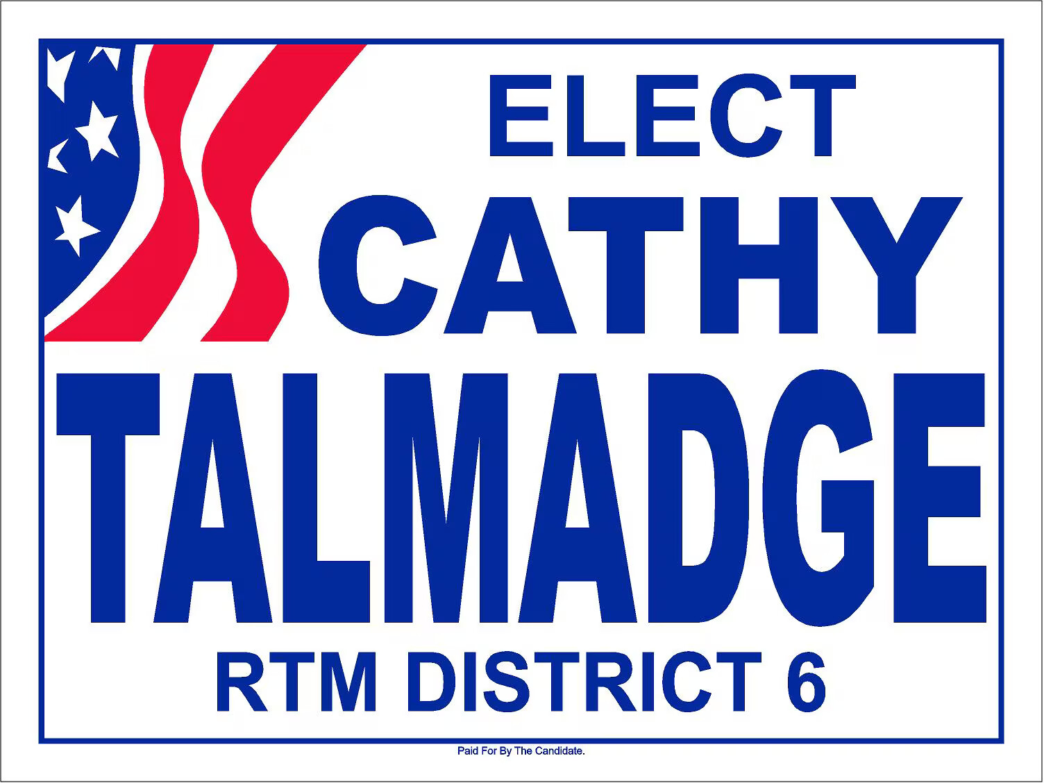 Political Campaign Template 13